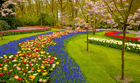 বাগান (Gardens)