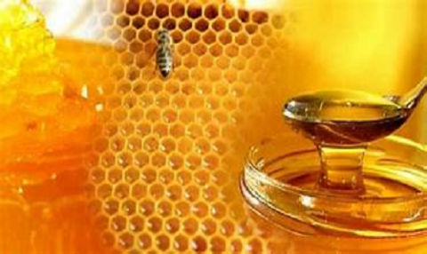 মধু (Honey)