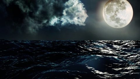 চাঁদের প্রতিবিম্বিত আলো (Moon light):