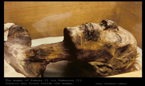 রাজা ফেরাউন এর মমি (Pharaoh's Mummy)
