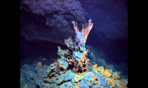Hydrothermal vents