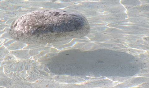 Pumice