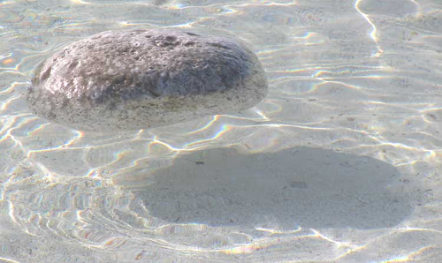 Pumice