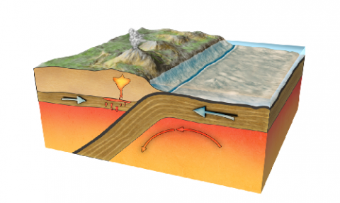 Tectonic Plate