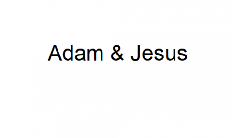 Adam and Jesus