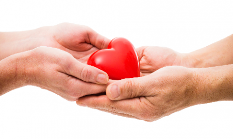 Donation