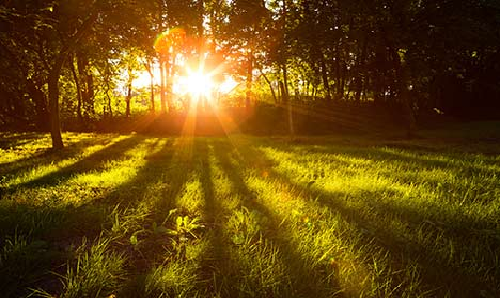 Sunlight