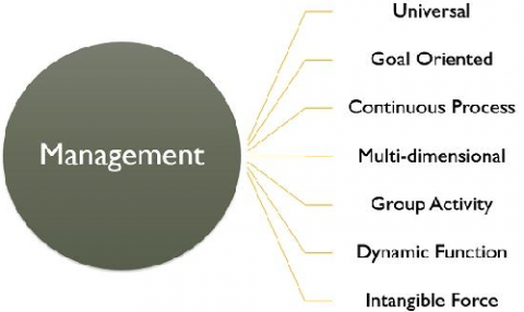 Managment 1