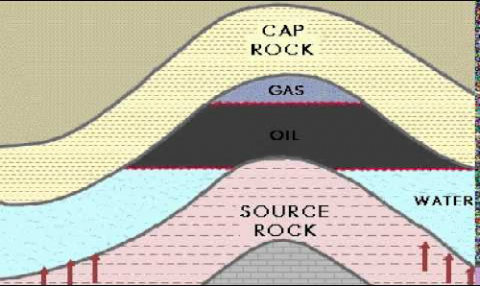Oil