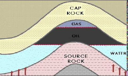 Oil